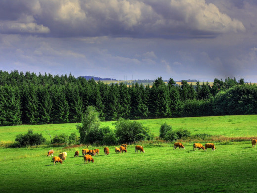651912 (a): :2560x1920